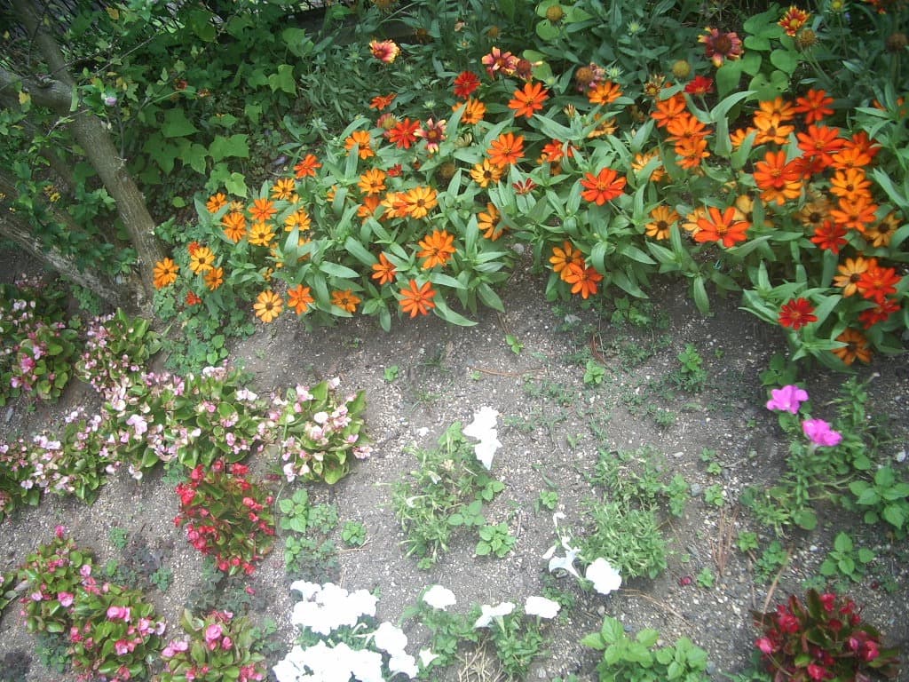 実写美⭕️【動作確認済】ペンタックス PENTAX OPTIO S40 乾電池式