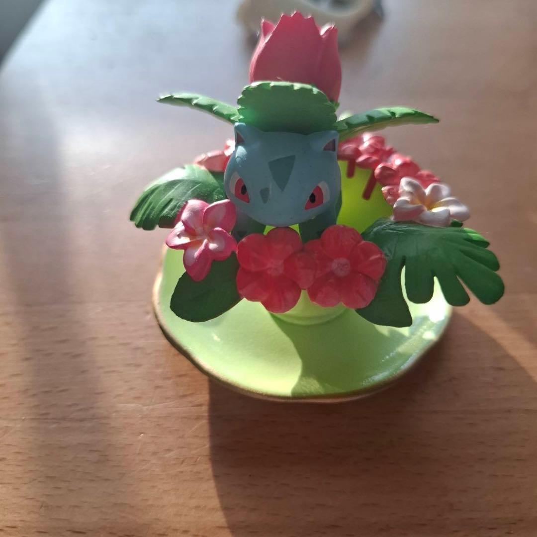 フローラルカップコレクションまとめ売り ポケモン　リーメント