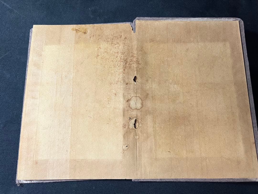 「末代皇朝舊影」中国朝廷写真集 時代不明 折帖◆ラストエンペラー 清朝写真集