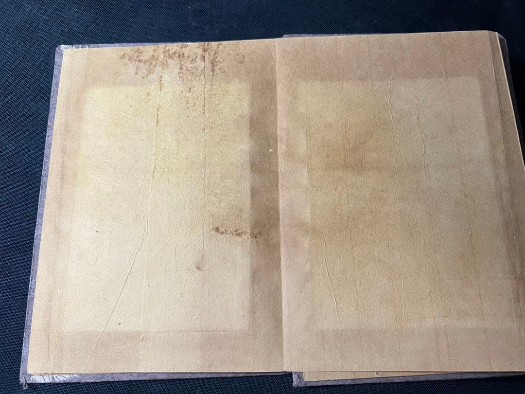 「末代皇朝舊影」中国朝廷写真集 時代不明 折帖◆ラストエンペラー 清朝写真集