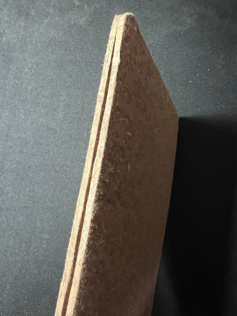 「末代皇朝舊影」中国朝廷写真集 時代不明 折帖◆ラストエンペラー 清朝写真集