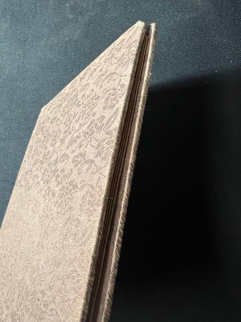 「末代皇朝舊影」中国朝廷写真集 時代不明 折帖◆ラストエンペラー 清朝写真集