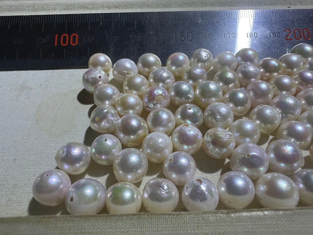 あこや真珠　パール　100g