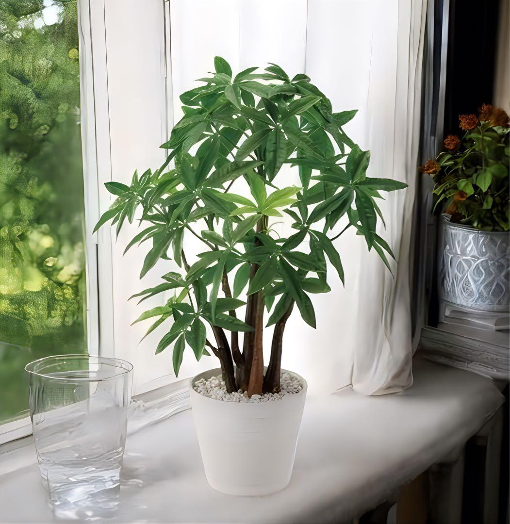 光触媒　人工観葉植物　ウォールグリーン　フェイクグリーン　パキラpt
