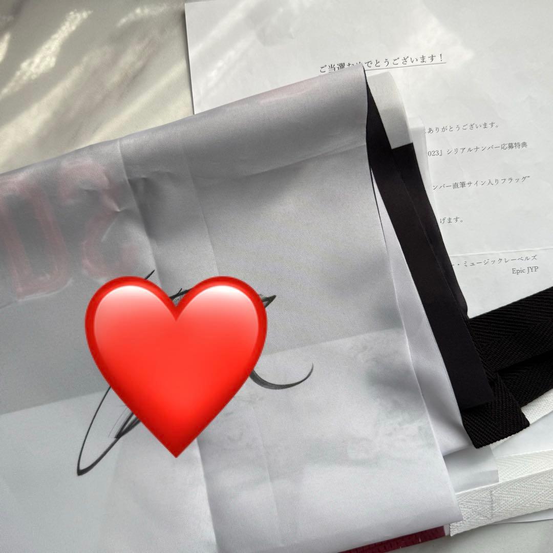 StrayKids ヒョンジン 5star 直筆 サイン フラッグ