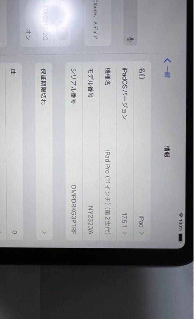 早い者勝ち】iPad Pro 11インチ 第2世代 128GB 【すぐ発送】