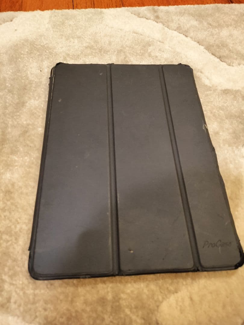 【最近まで現役】Apple iPad Air2 128GB ゴールド A1566