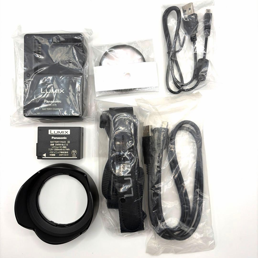 新品級　LUMIX DMC-FZ300 Panasonic 箱付き　ブラック