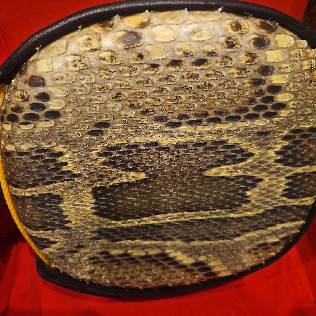 三線 本体 ケース付き