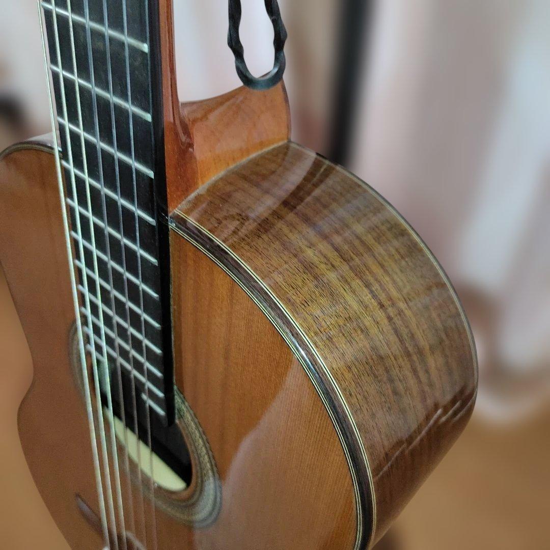 Aria A-50C-63 アコースティックギター