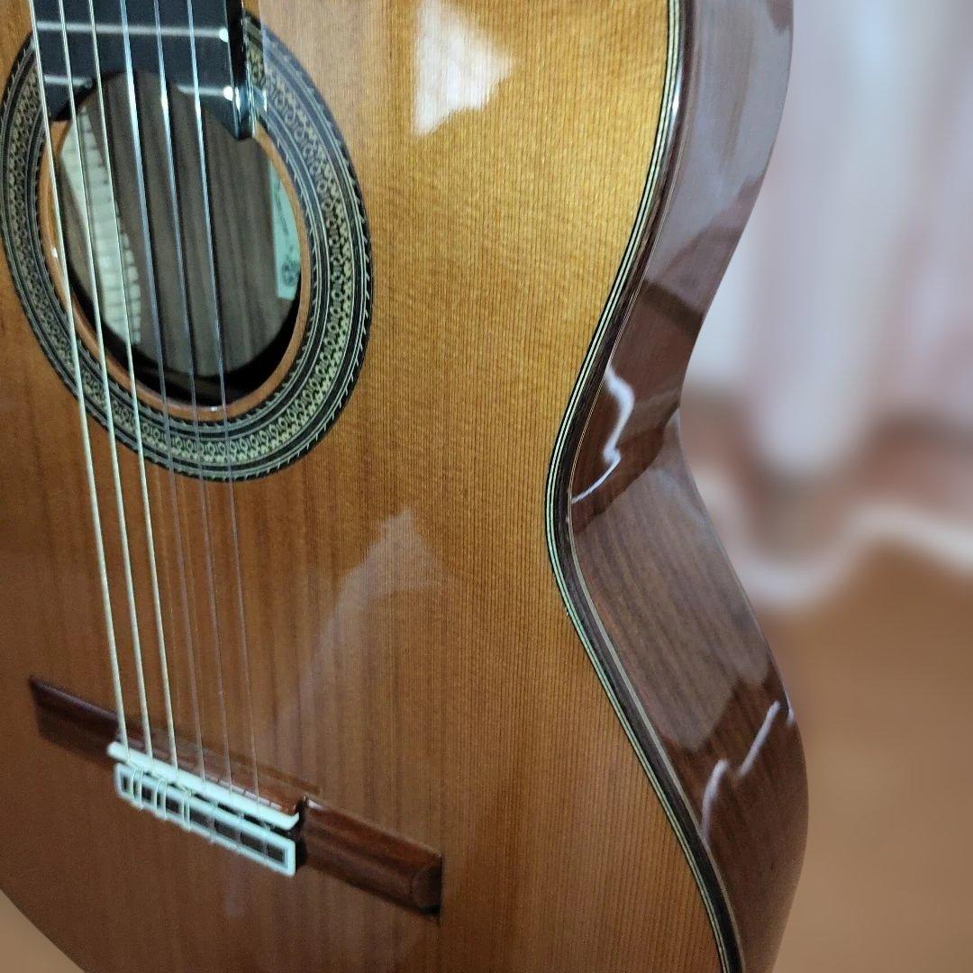 Aria A-50C-63 アコースティックギター