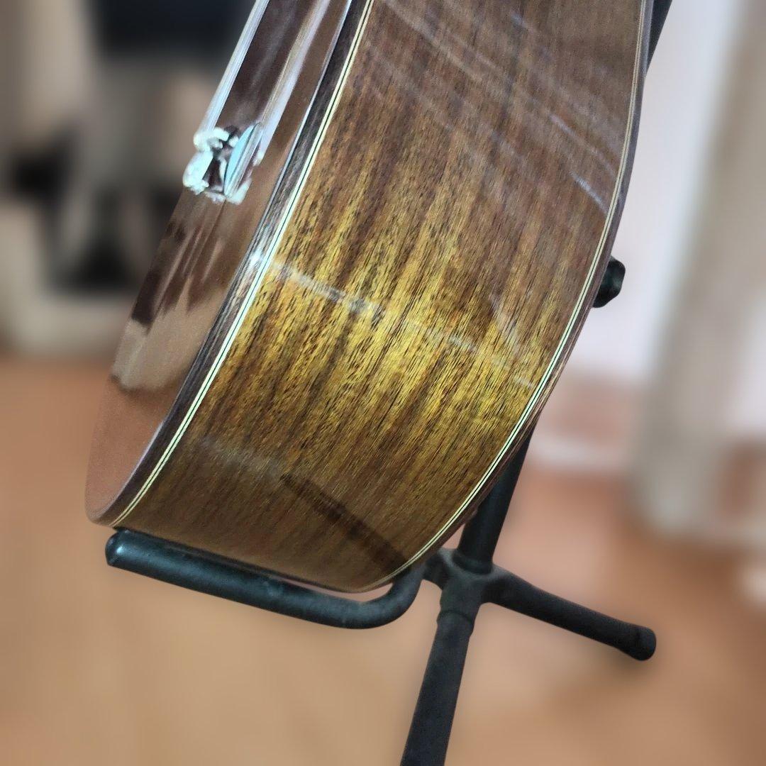 Aria A-50C-63 アコースティックギター