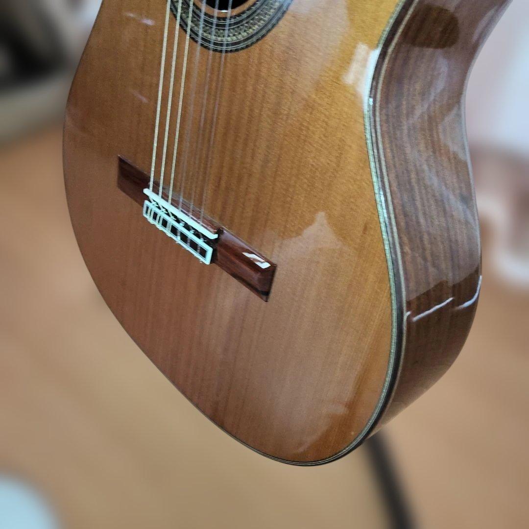Aria A-50C-63 アコースティックギター