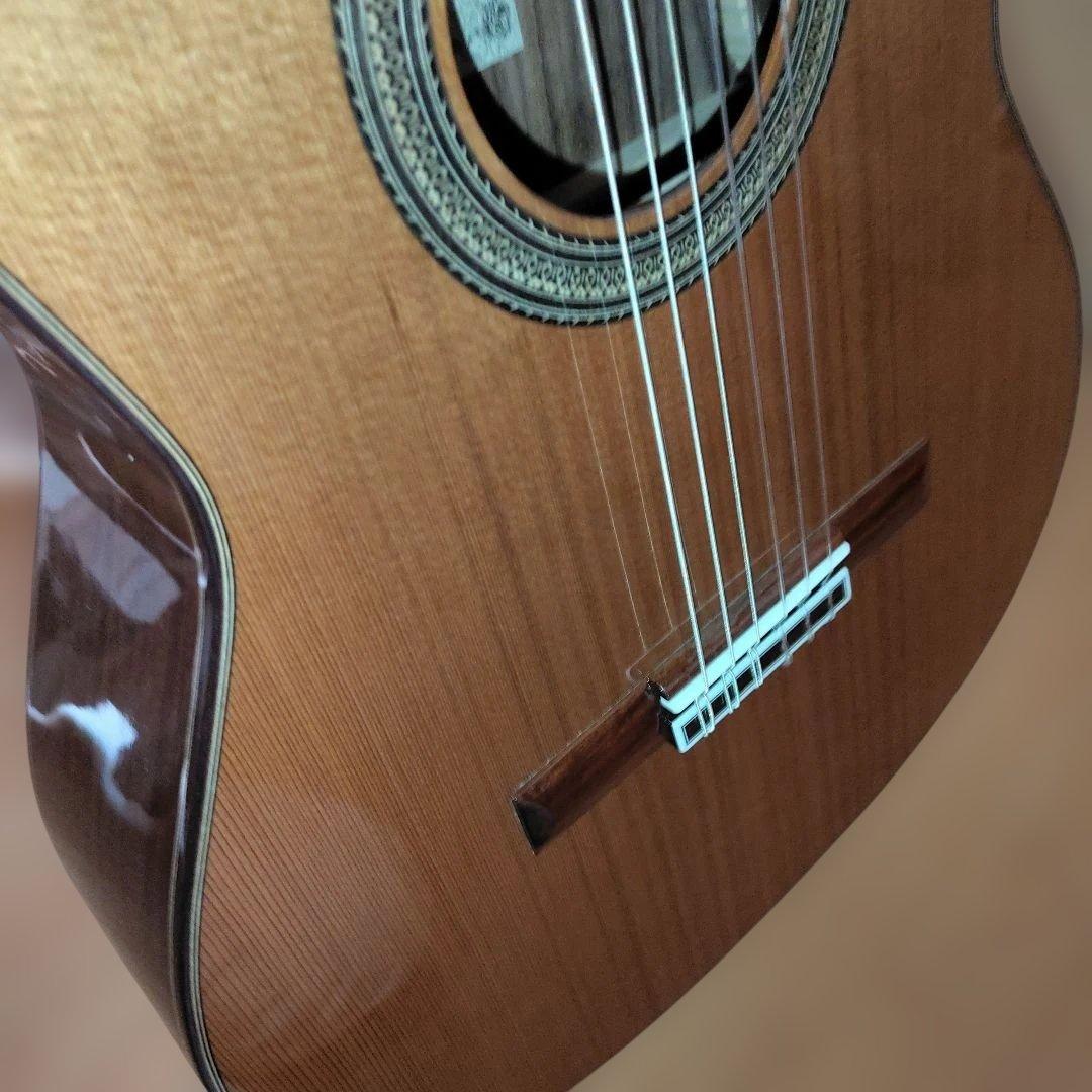 Aria A-50C-63 アコースティックギター