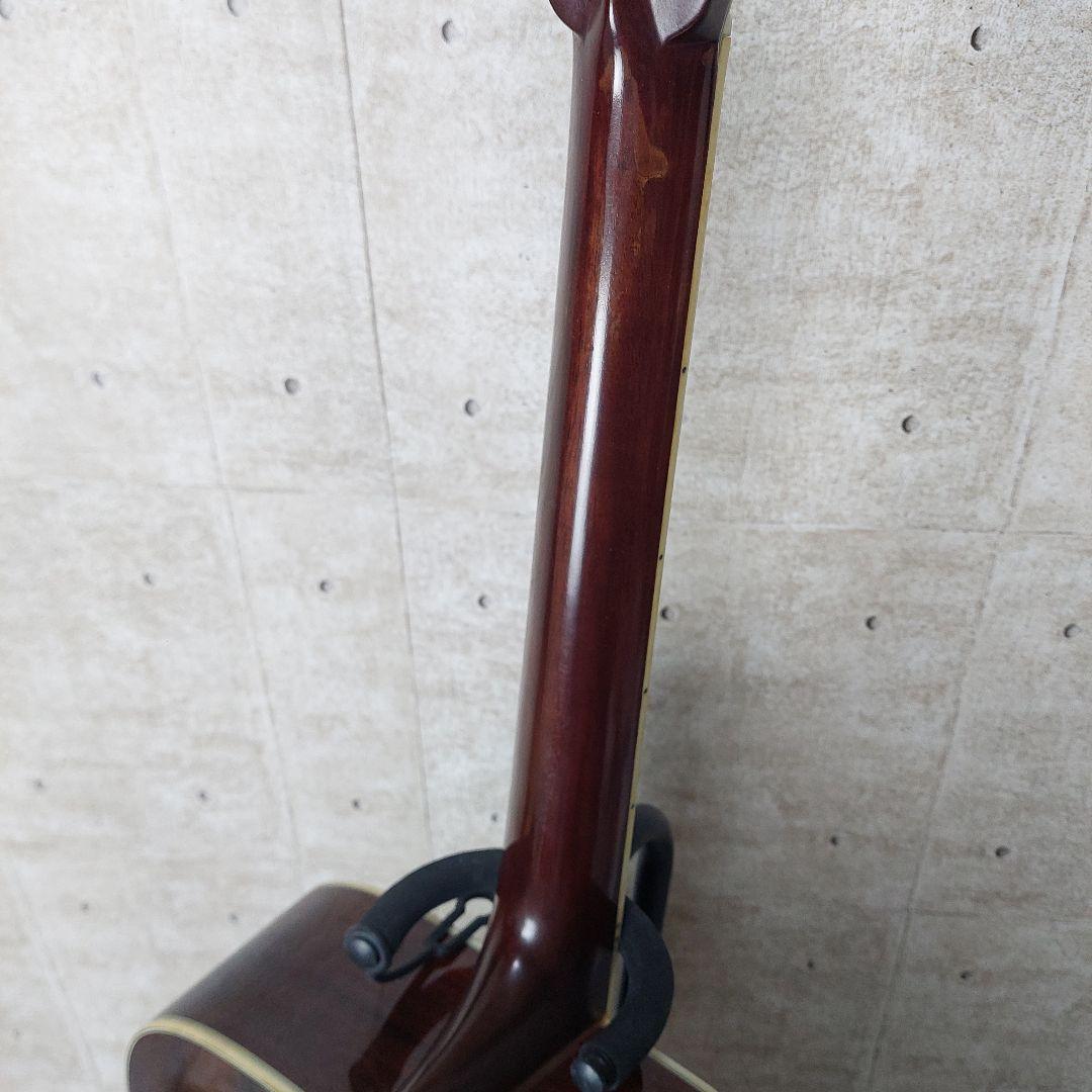 【希少】 Morris TF W-60 ハカランダ Gibson DOVEモデル