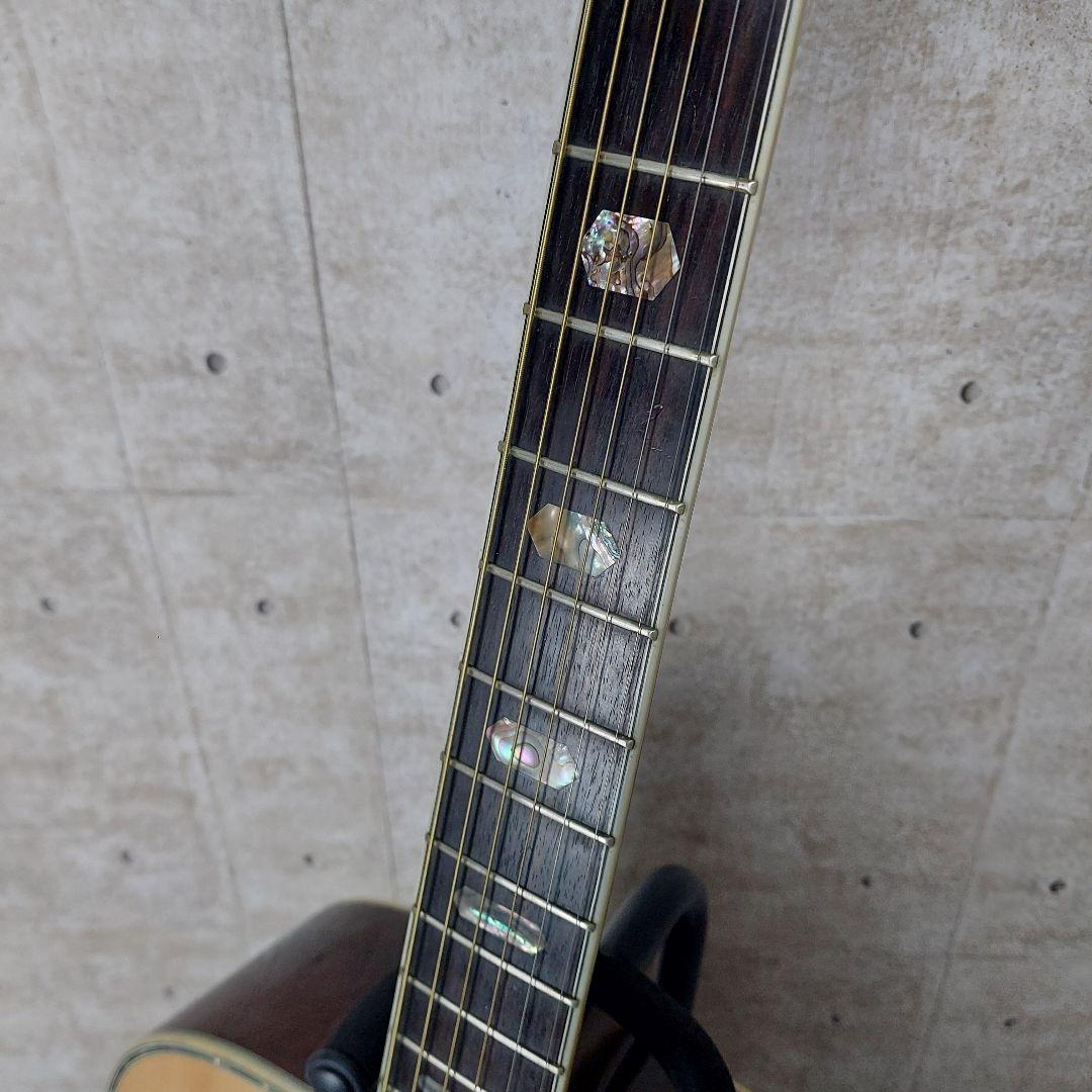 【希少】 Morris TF W-60 ハカランダ Gibson DOVEモデル