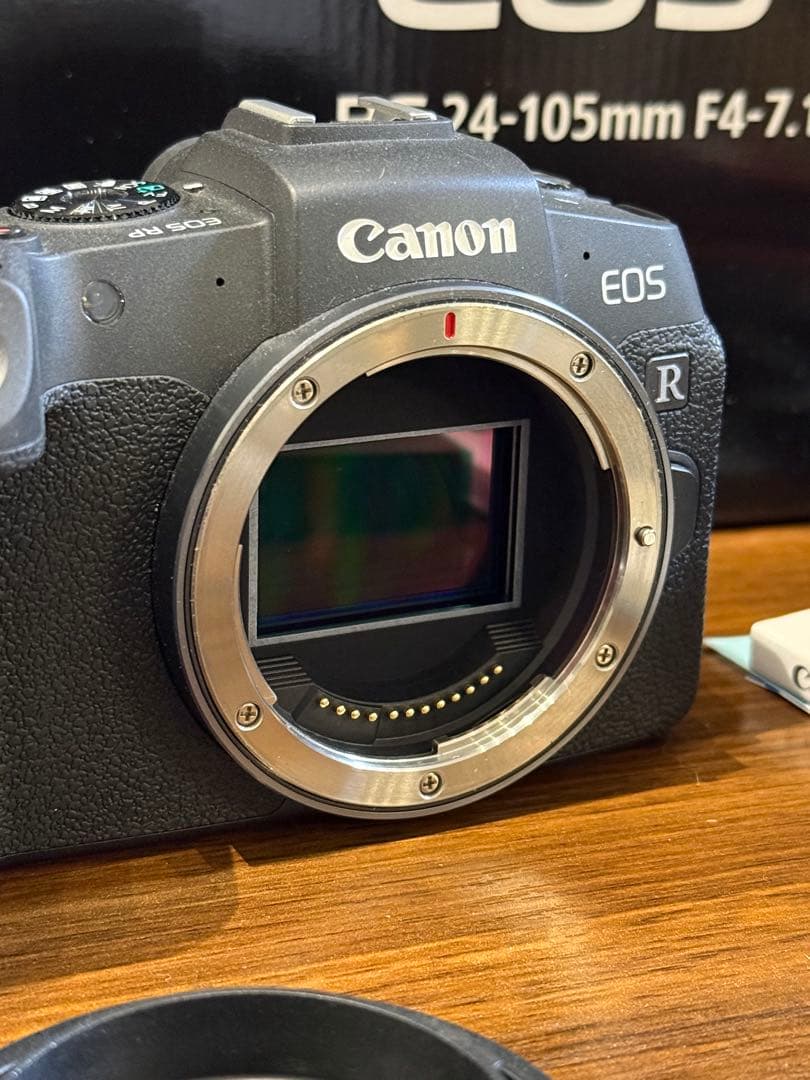 Canon EOS RP ミラーレス一眼カメラ　256GBのSDカード付き！