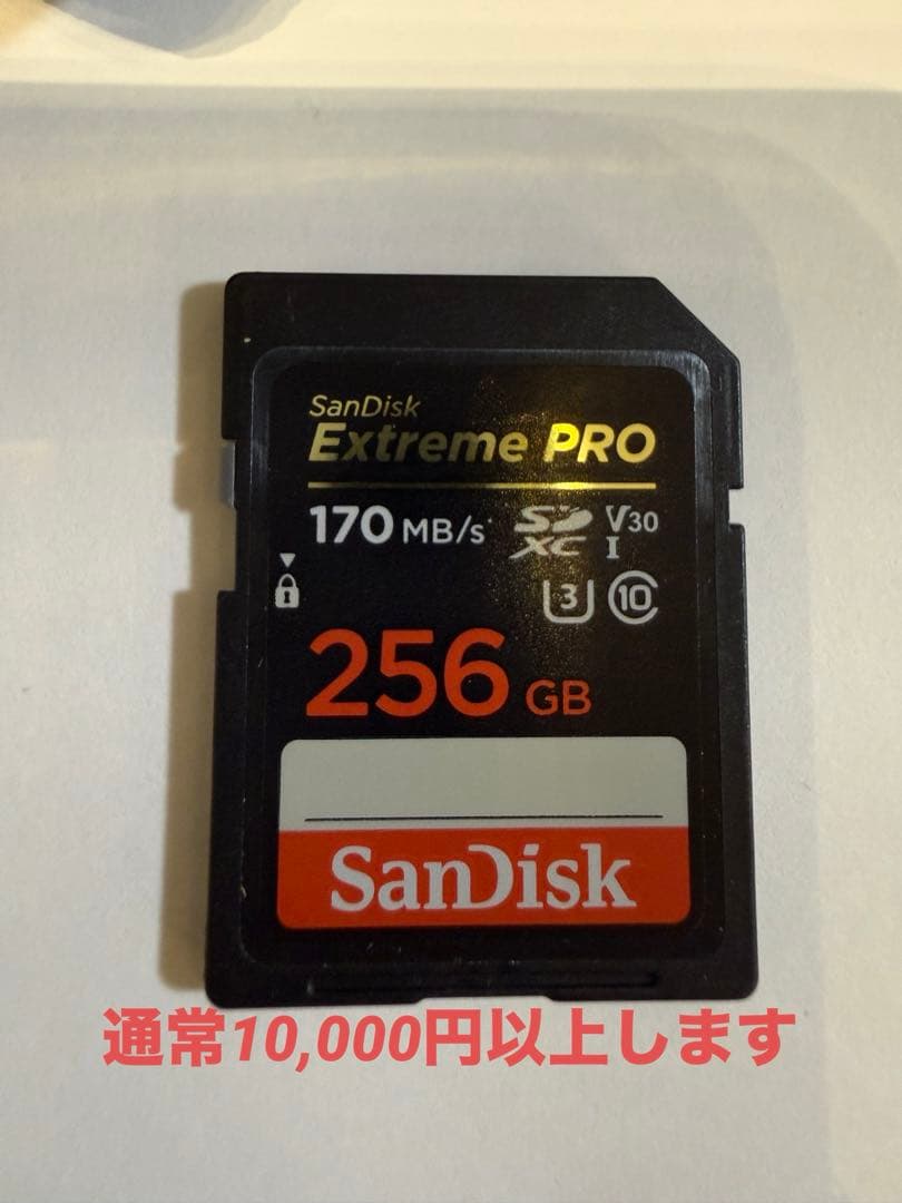 Canon EOS RP ミラーレス一眼カメラ　256GBのSDカード付き！