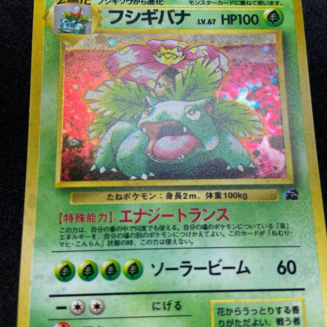 【旧裏ポケモンカード】イントロパック　フシギバナ（フシギダネマーク）プロモカード