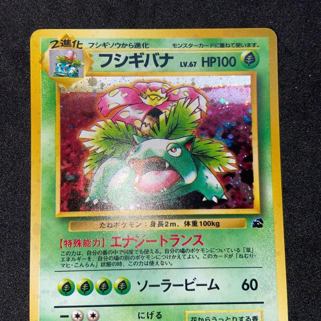 【旧裏ポケモンカード】イントロパック　フシギバナ（フシギダネマーク）プロモカード