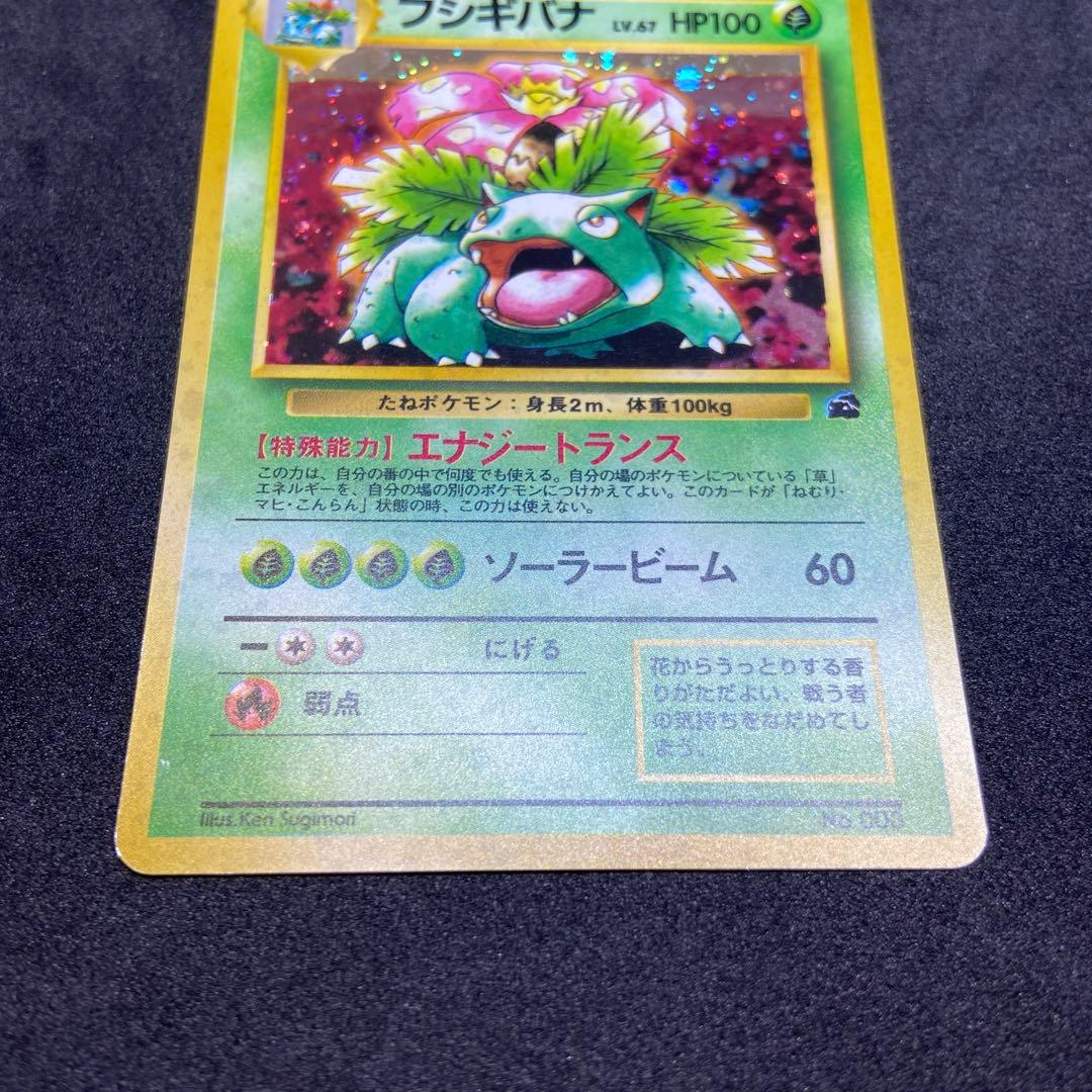 【旧裏ポケモンカード】イントロパック　フシギバナ（フシギダネマーク）プロモカード