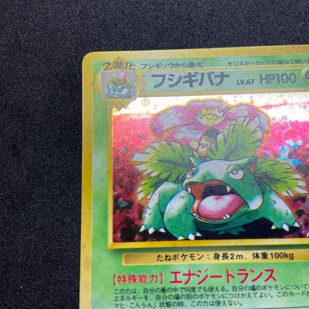 【旧裏ポケモンカード】イントロパック　フシギバナ（フシギダネマーク）プロモカード