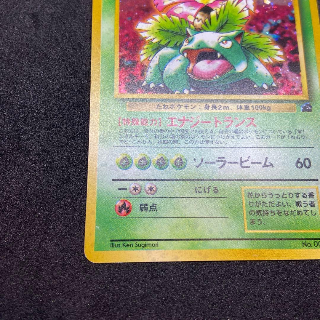 【旧裏ポケモンカード】イントロパック　フシギバナ（フシギダネマーク）プロモカード