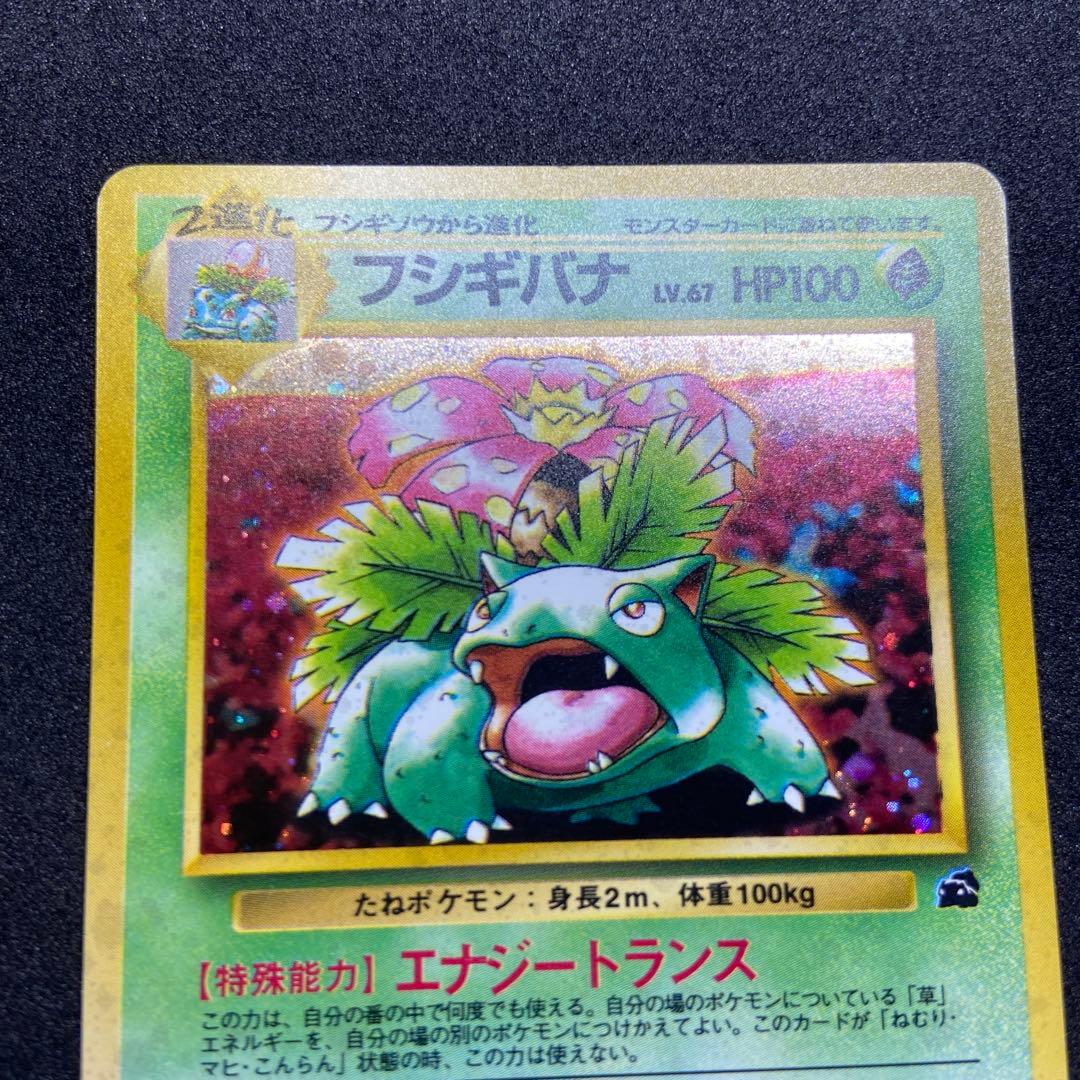 【旧裏ポケモンカード】イントロパック　フシギバナ（フシギダネマーク）プロモカード