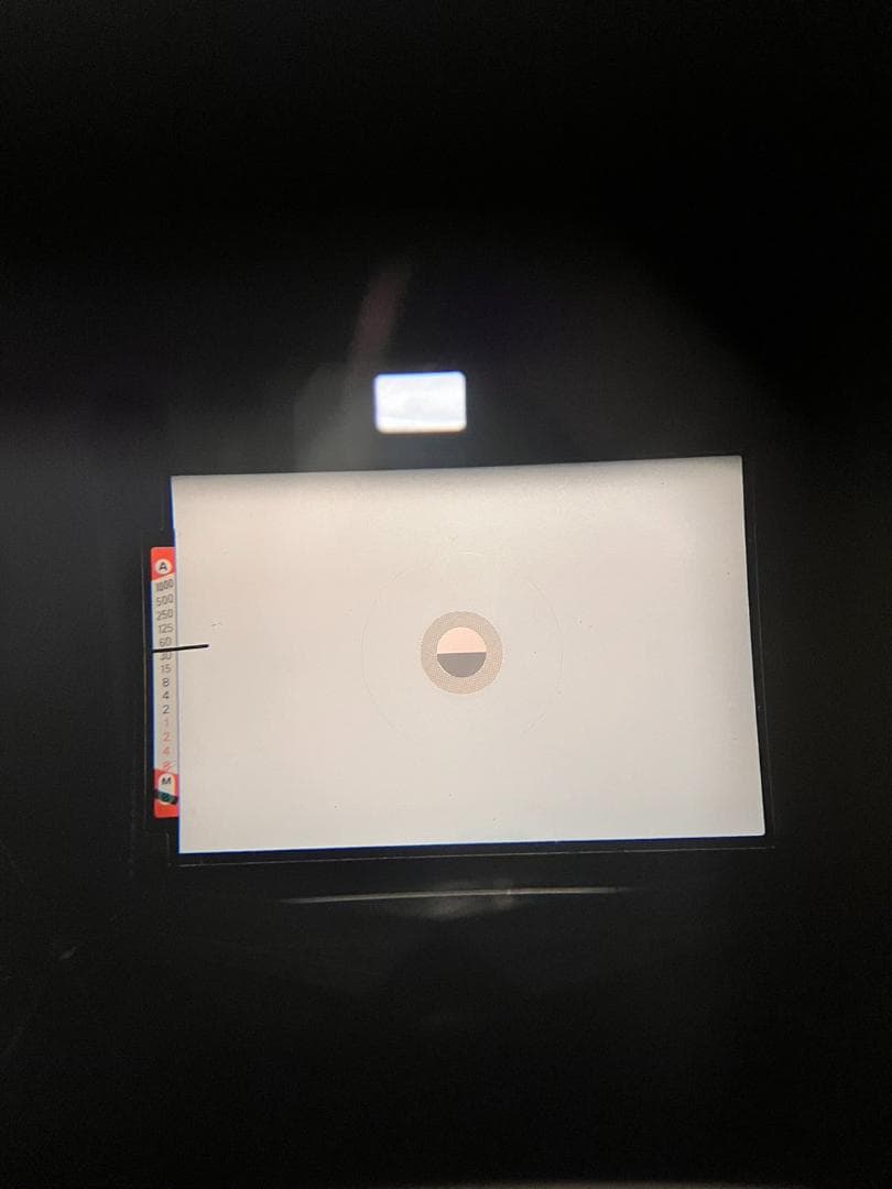 美品 NIKON FE シルバー フィルムカメラ　モルト新品交換済 B735