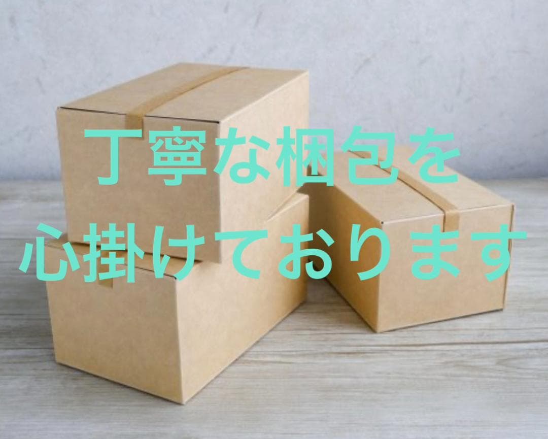 アイリスオーヤマ 電子レンジ 17L ターンテーブル ヘルツフリー 単機能 ma