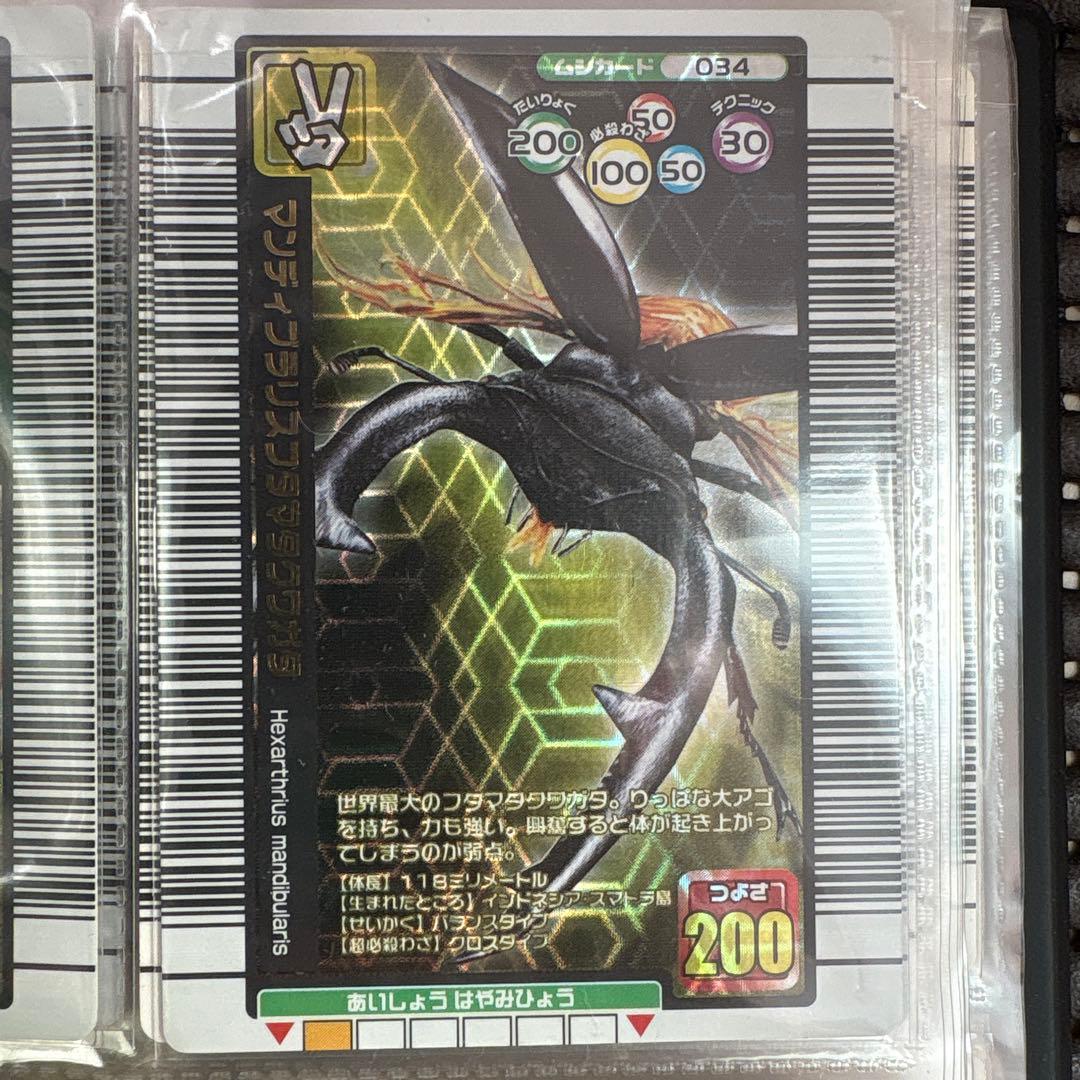 希少 ムシキング 2005年夏限定デザインカード セミコンプリート まとめ売り