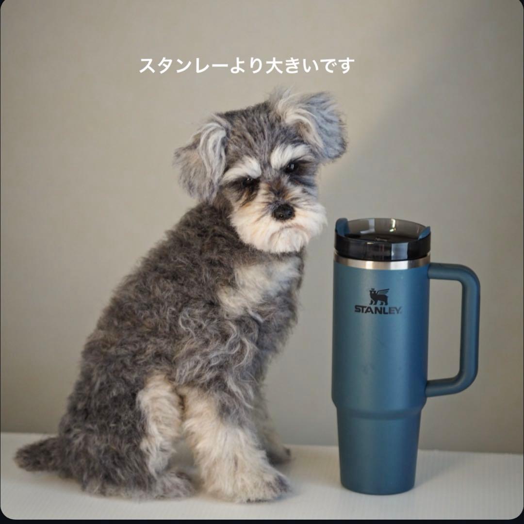 羊毛フェルト　シュナウザー　振り返りお座り　犬　トリミング前　一点物