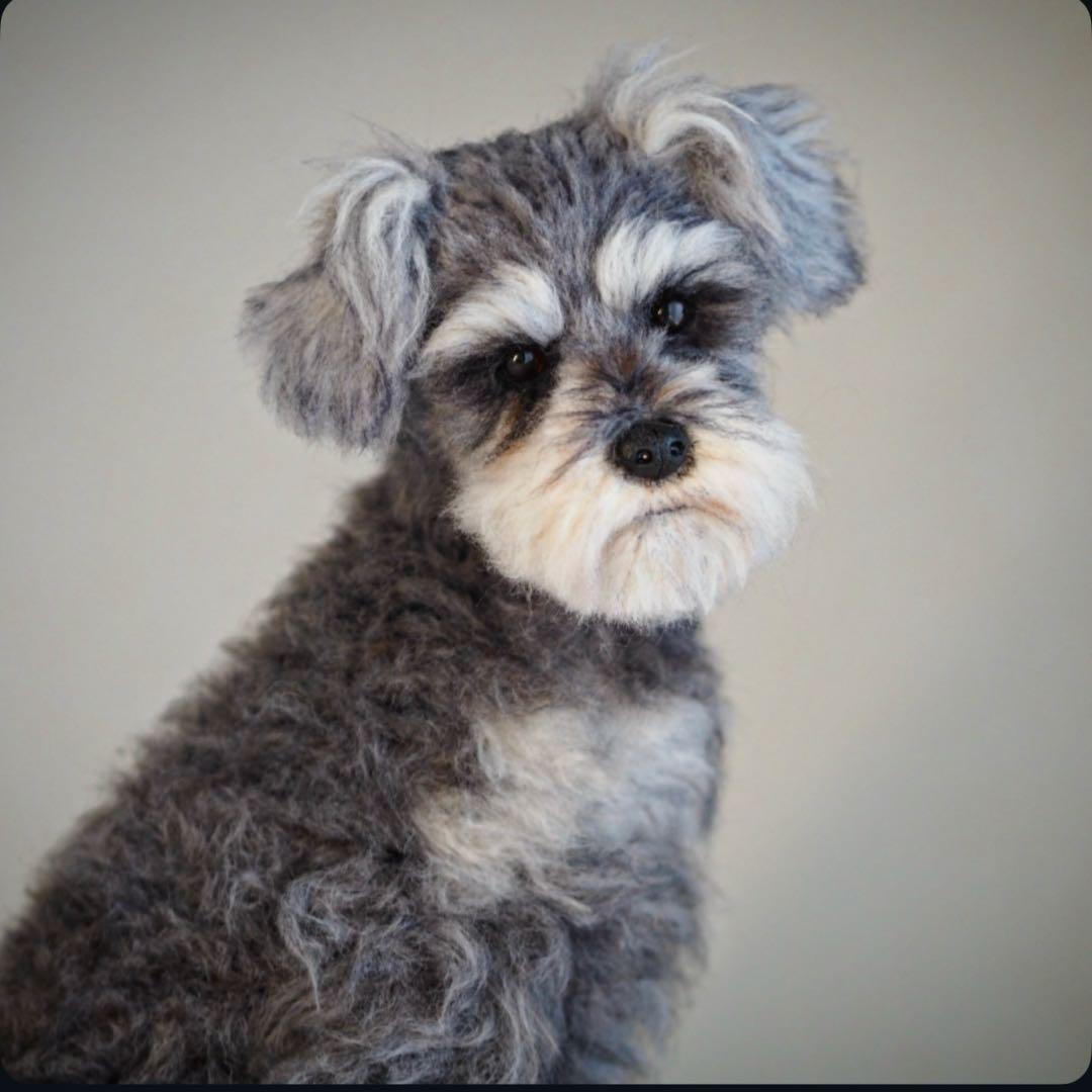 羊毛フェルト　シュナウザー　振り返りお座り　犬　トリミング前　一点物