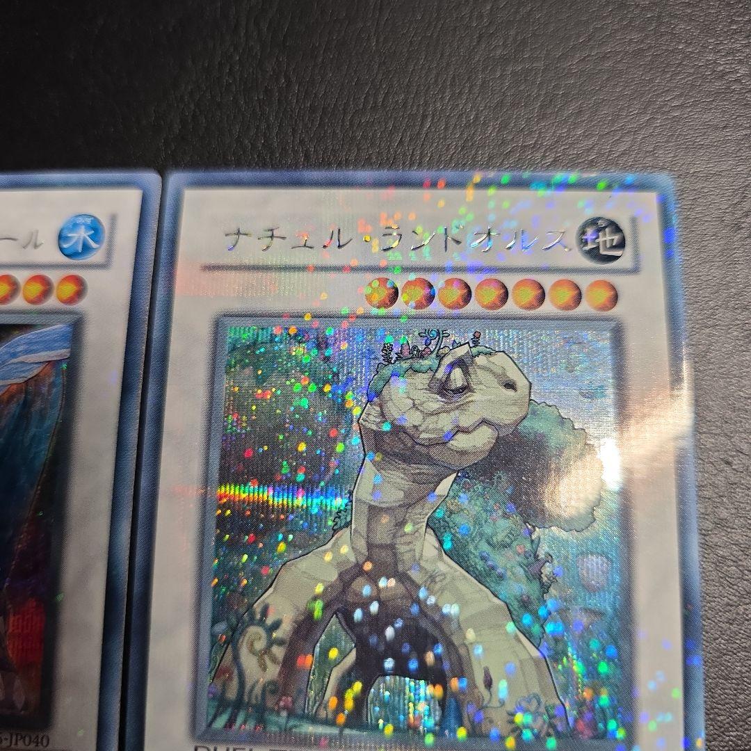 シンクロ