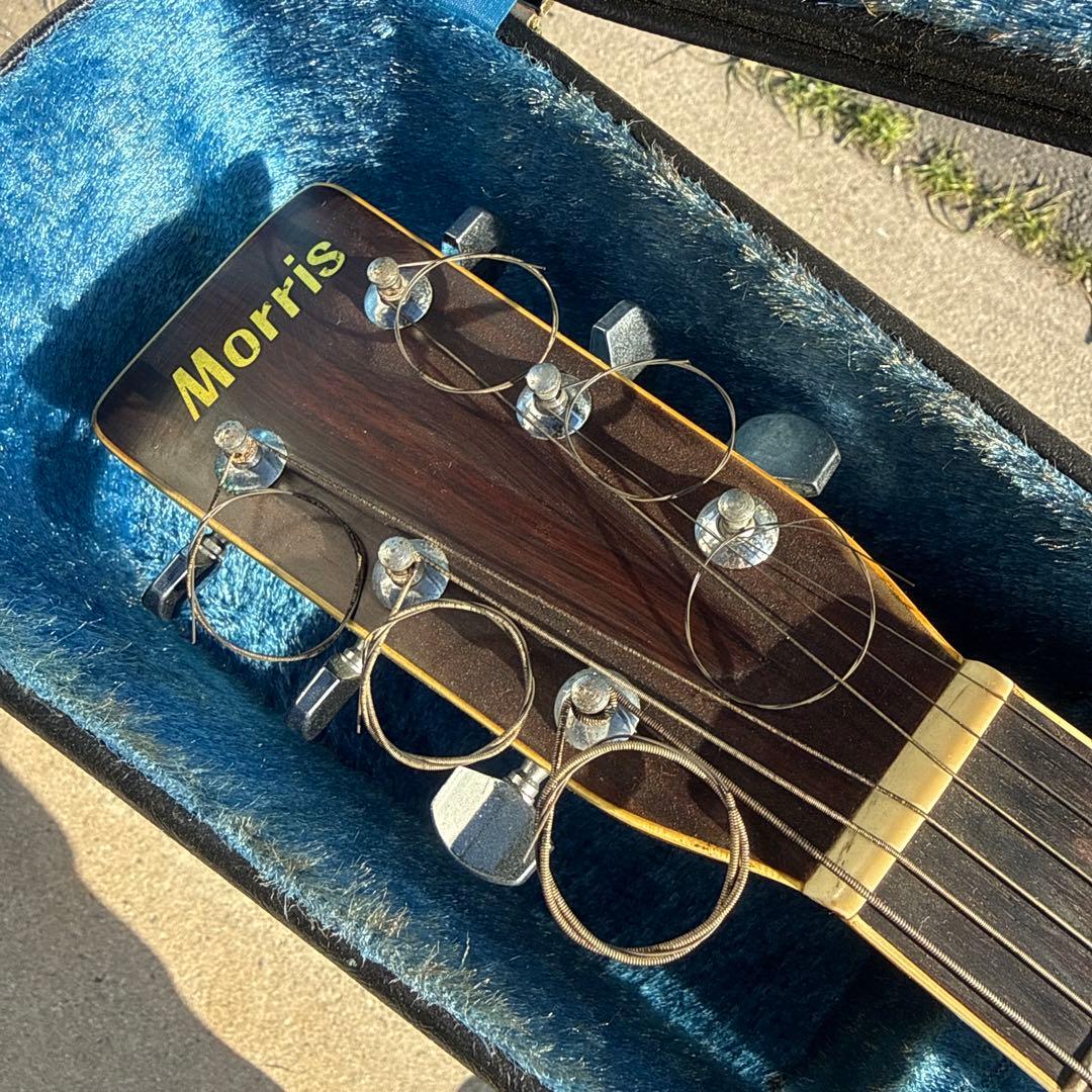 アコースティックギター morris w-25