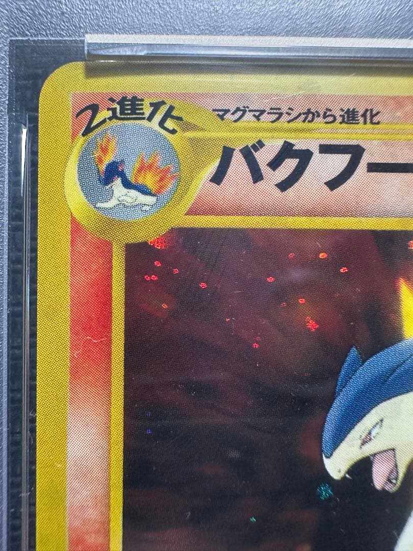 メガニウム　バクフーン　オーダイル　プレミアムファイル　旧裏　PSA9