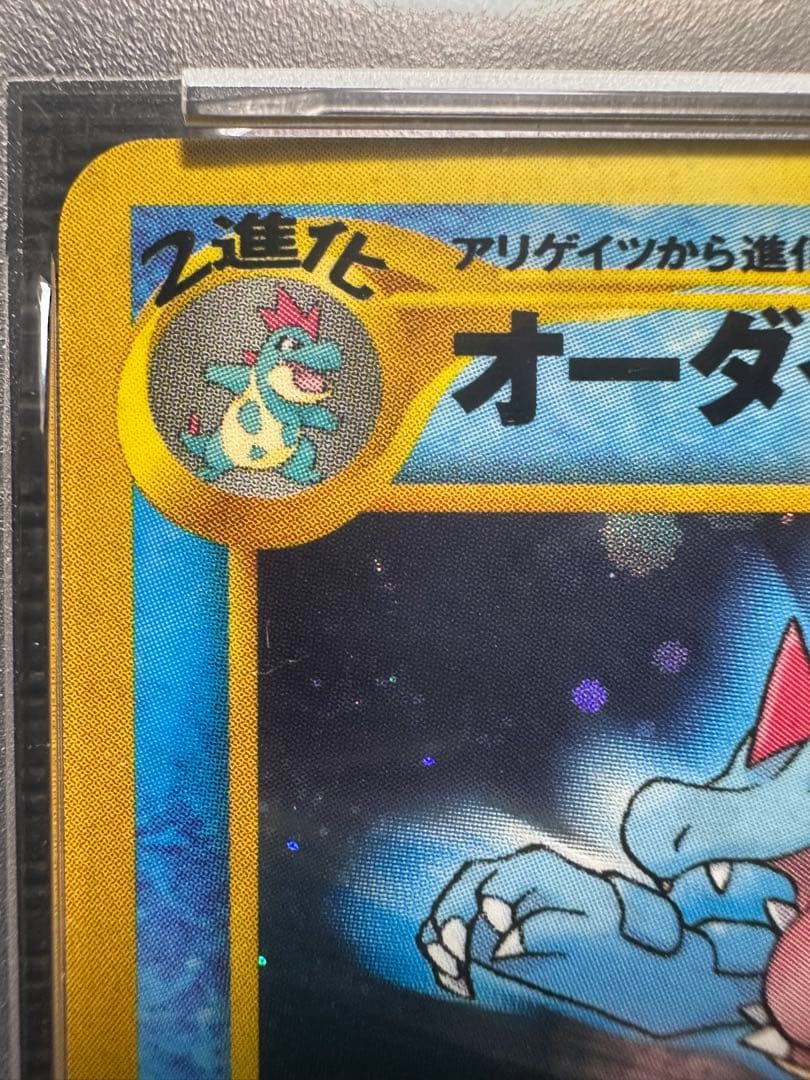メガニウム　バクフーン　オーダイル　プレミアムファイル　旧裏　PSA9