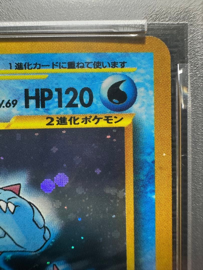 メガニウム　バクフーン　オーダイル　プレミアムファイル　旧裏　PSA9