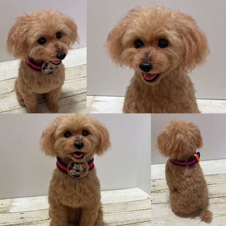 羊毛フェルト　オーダー確認用②