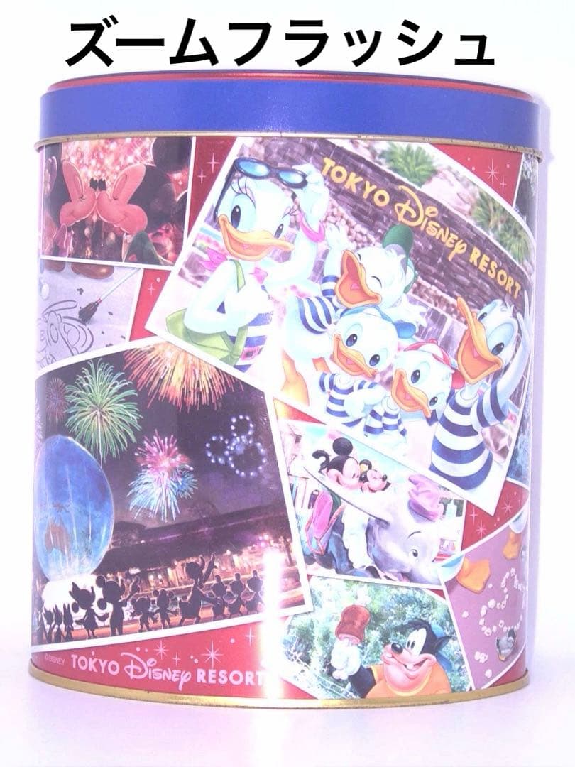 実写美⭕️【動作確認済】 Caplio RR10 デジタルカメラ