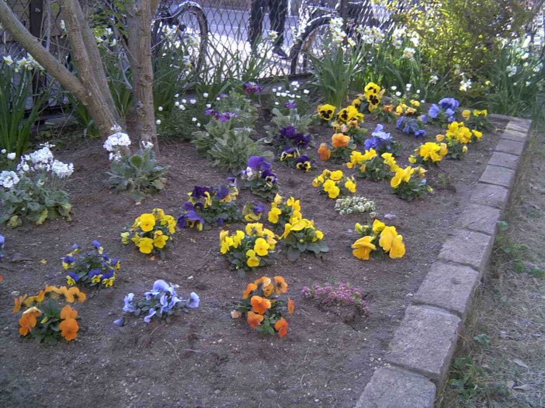 実写美⭕️【動作確認済】 Caplio RR10 デジタルカメラ