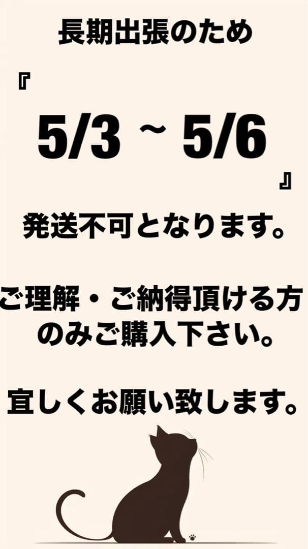 iPad Pro 12.9インチ 第5世代 Wi-Fi 256GB M1