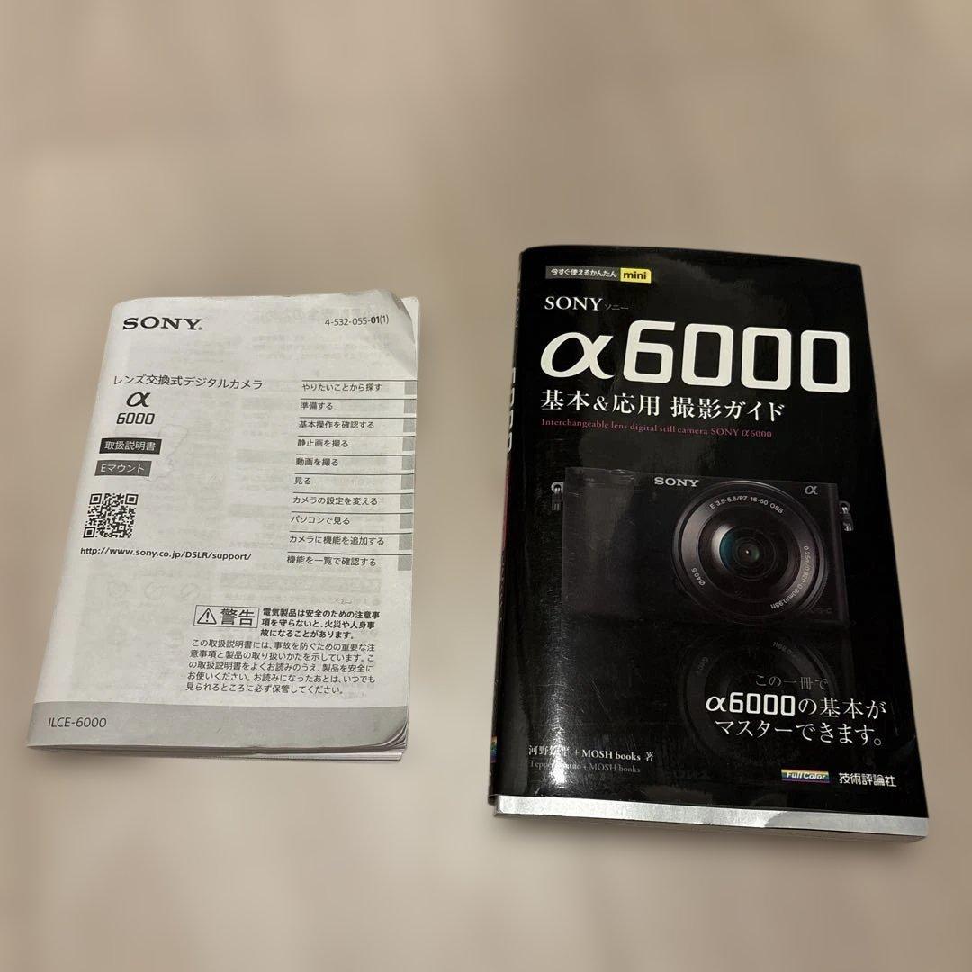 SONY α6000 美品