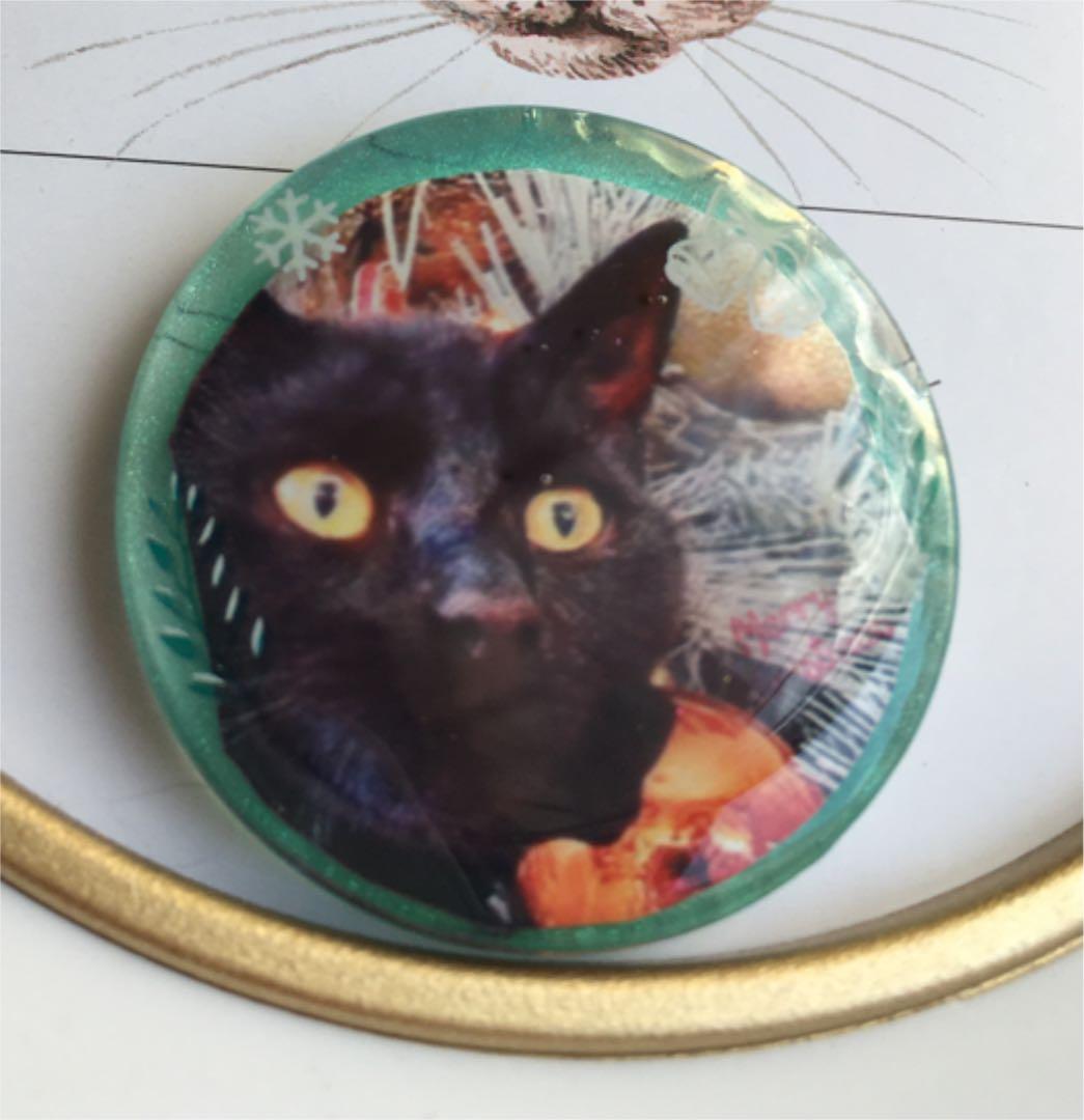 レジンヘアゴム♡クリスマス黒猫ちゃん・再販不可