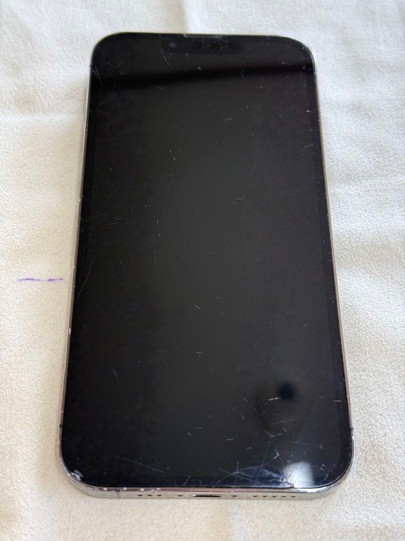 Apple iPhone 13 Pro 本体