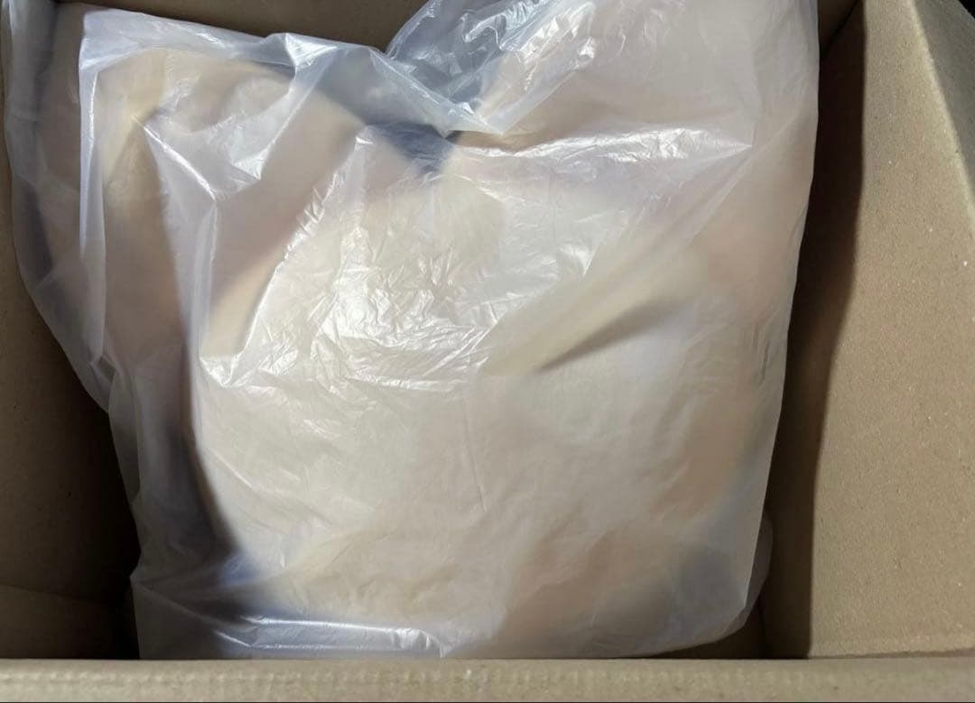 Stray Kids フォクシニー　アイエン　ぬいぐるみ　クッション　skzoo