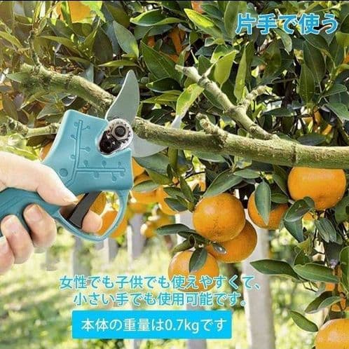【大特価‼️✨】剪定バサミ 電動 充電式 園芸 ガーデニング 植木 新品未使用