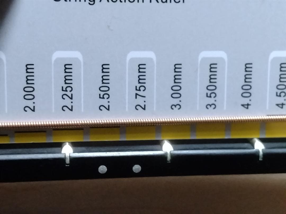 【美品】Taylor LTD EG Academy 12e