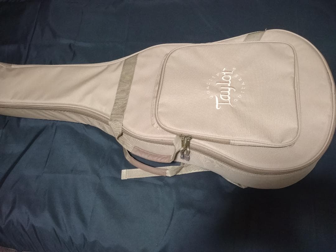 【美品】Taylor LTD EG Academy 12e