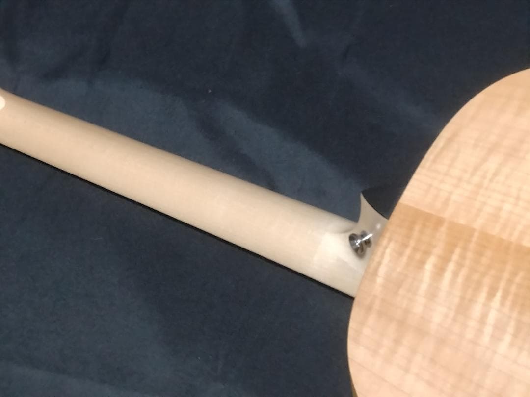 【美品】Taylor LTD EG Academy 12e